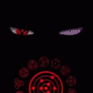 Meet your Posher, Derrick